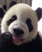 Calda e passionale in cambio di regalo